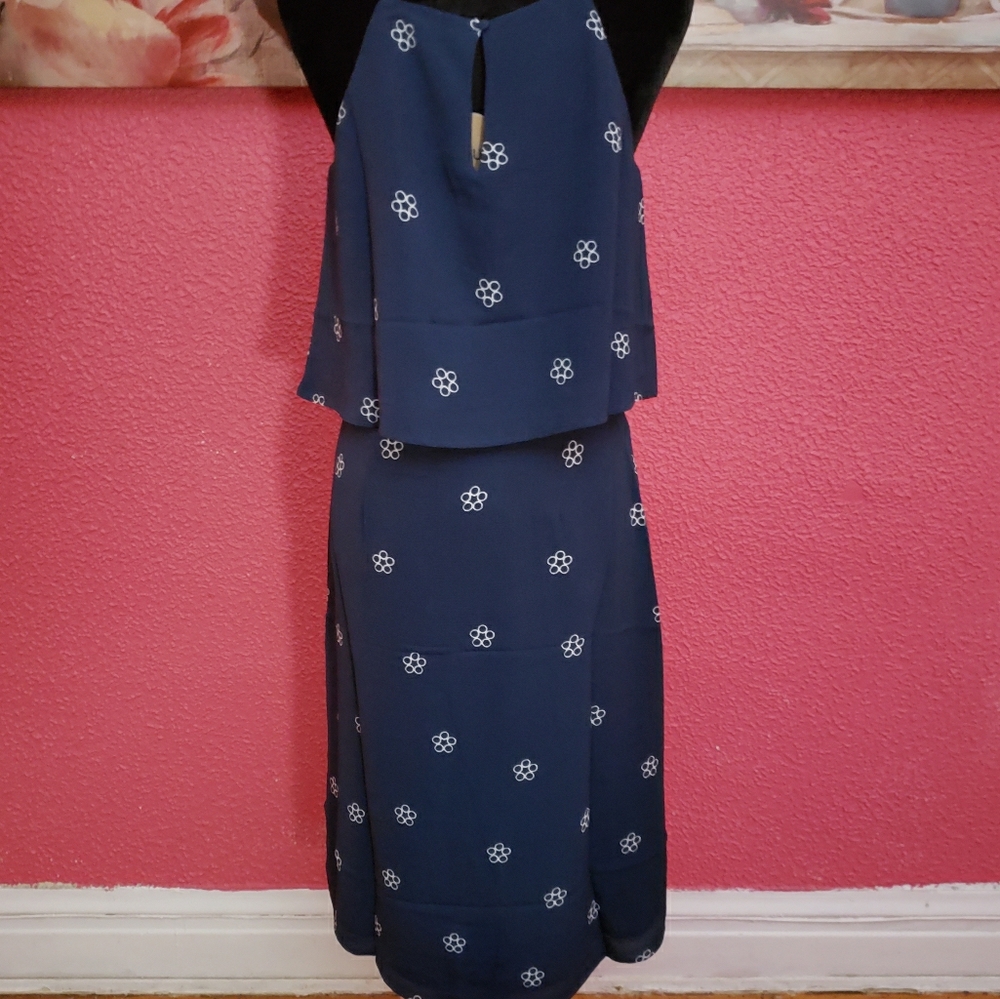 Essue blue print dress.